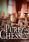 国际象棋：特级大师版