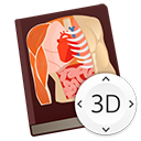 解剖课3D Mac