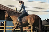 《模拟农场19》全新实机演示 玩家骑马畅游家畜农场