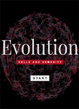 细胞进化