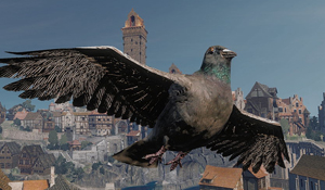 《巫师3》新鸟类MOD发布 鸽子，海鸥等飞鸟统统变高清
