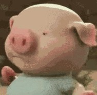 小猪跑步GIF动态表情包