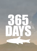 365天