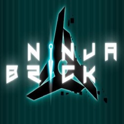 Ninja Brick
