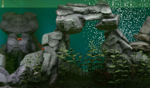 模拟新作《Biotope》上架Steam 快乐云养鱼刺激逼真