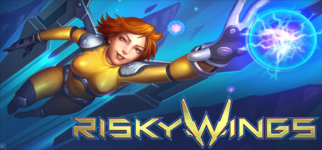 危险之翼（Risky Wings）游戏