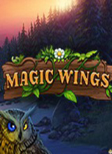 猫头鹰王国的谜语2：魔法翅膀