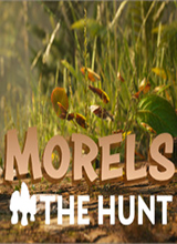 Morels: The Hunt