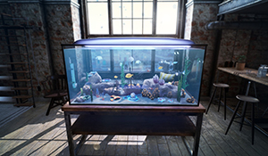模拟游戏《水族箱模拟器》玩法预告 在家休闲养鱼