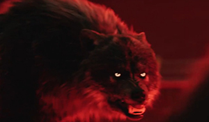 桌游改编《狼人之末日怒吼》新预告 全程见证主角变身