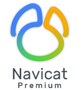 Navicat premium汉化版v16