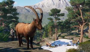 《动物园之星》欧洲DLC宣传片 12.14解锁五种新动物