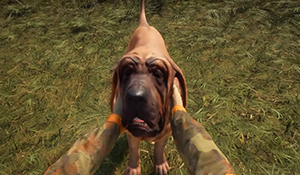《猎人：荒野的呼唤》新“狩猎犬”DLC预告 嗅血寻踪