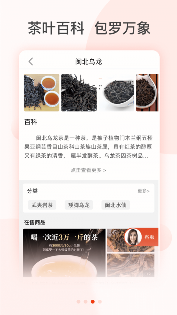 茶吉送开发app上线