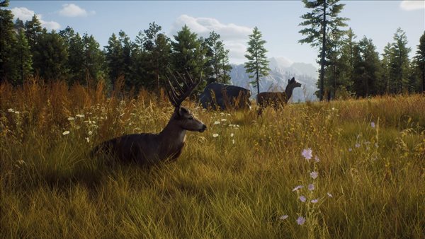 打猎模拟器《猎人之路》新预告 体验全新狩猎之旅