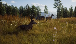 打猎模拟器《猎人之路》新预告 体验全新狩猎之旅