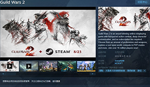 3D魔幻热血网游《激战2》上架Steam 8.23再聚泰瑞亚