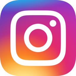 instagram官方版 v239.0.0.14.111