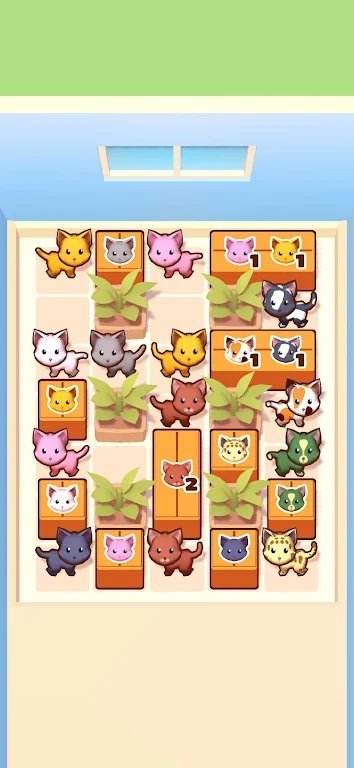 Pack The Cats图1