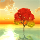 时光之树安卓版下载-时光之树官方手机版下载安装v1.1