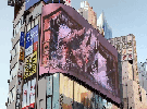 《狂野之心》裸眼3D广告 冰狼罗刹觅食来到新宿街头
