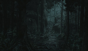 《心灵杀手2》新概念艺术图 夜幕下的森林阴暗压抑