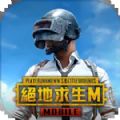 pubg国际服手游下载正版地铁逃生