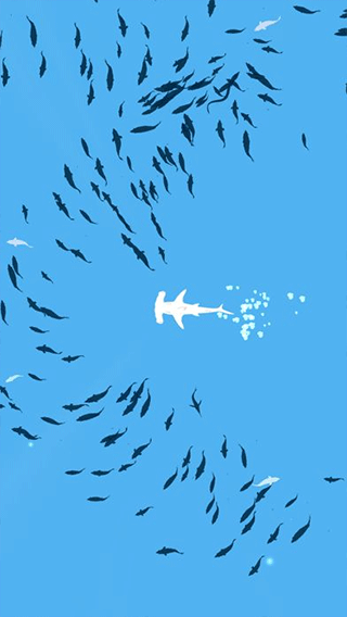 深海鱼群(Shoal of fish)图3