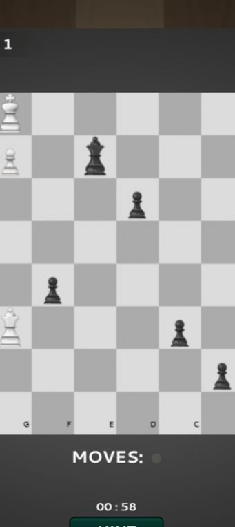国际棋的狂热(Chess Mania 24)图2
