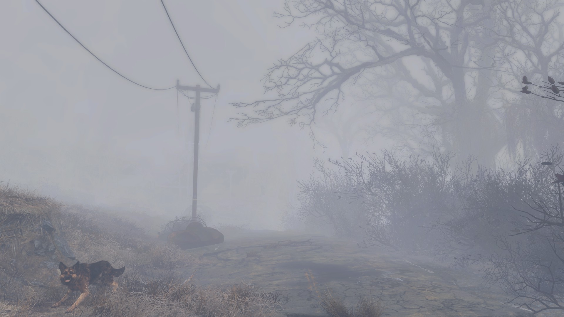 寂静岭雾图片