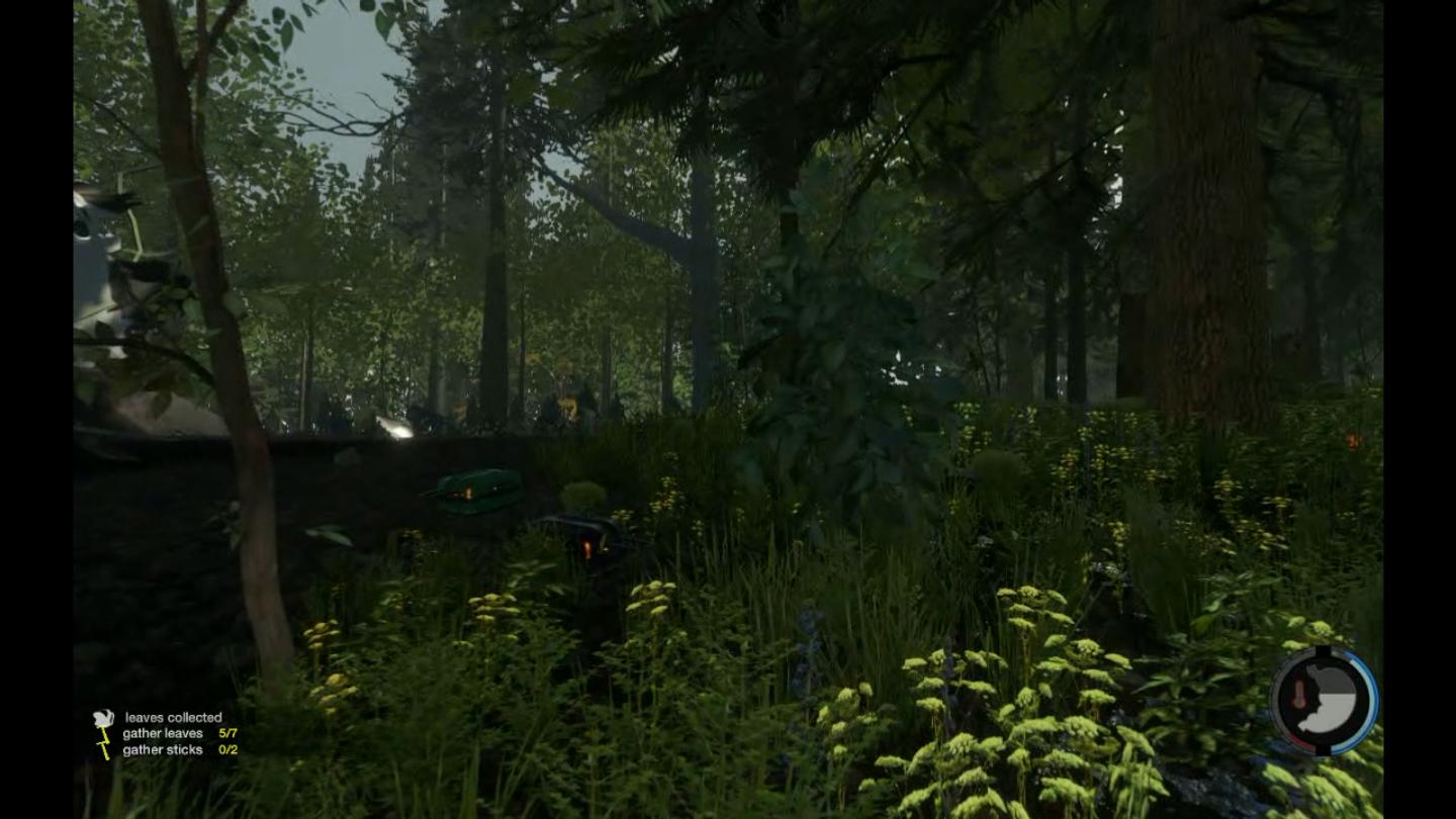原始森林生存游戏图片