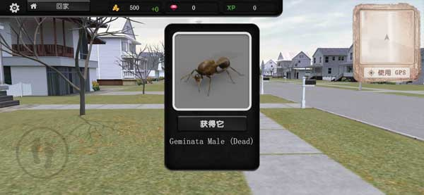 蚂蚁模拟大亨(Ant Sim Tycoon)图2