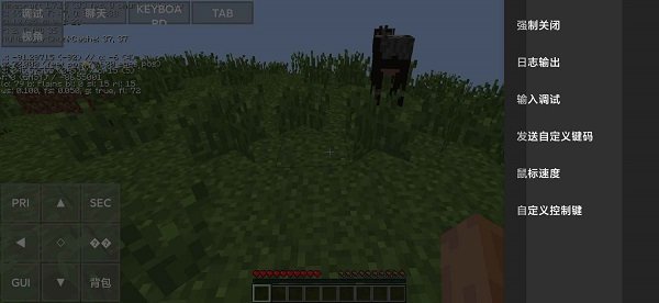 Minecraft java版图4