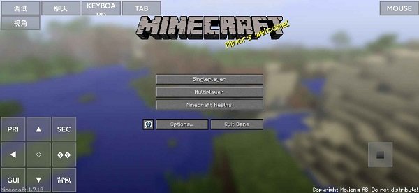 Minecraft java版图1