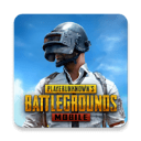 pubgm全球服免费下载-pubgm全球服官方正版最新下载v2.8.0