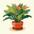 种植植物植物大亨(Plantscapes - Grow & Decorate)