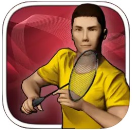 real badminton v1.3