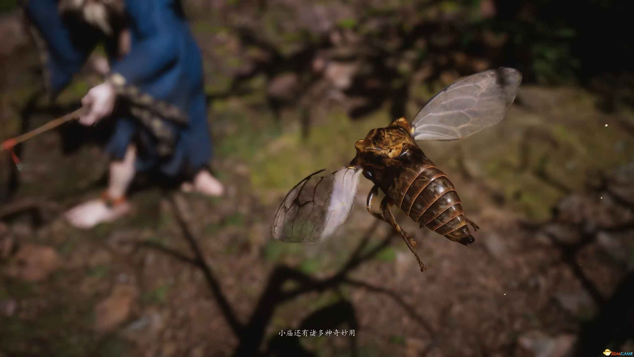 《黑神话：悟空》全剧情流程全结局攻略 全支线全收集攻略