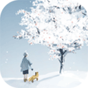 忘雪 v1.0.1